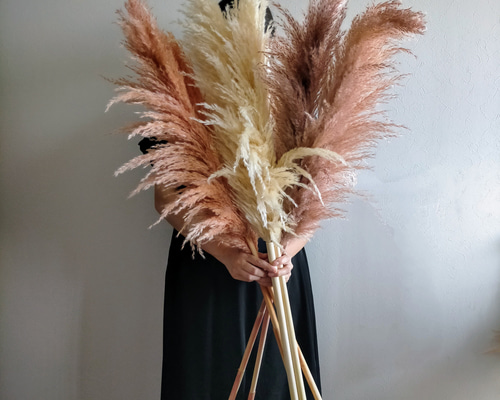 2c36d5f64a2db3835ceca5a4f3f304