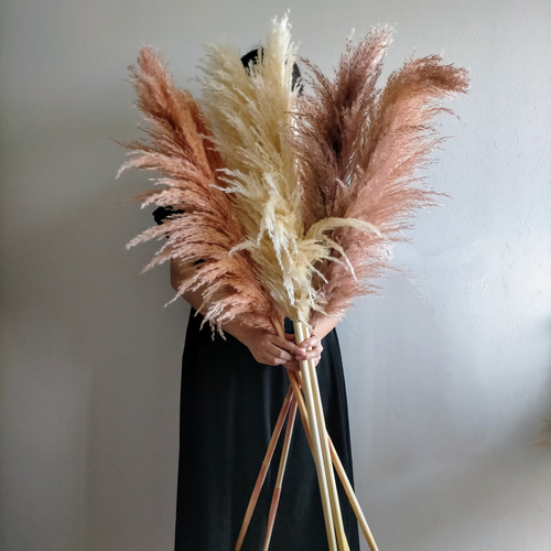 新生活 茶系パンパスグラス3色セット ドライフラワー インテリア