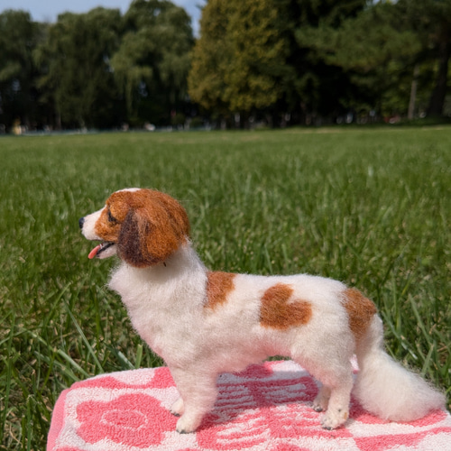 コーイケルホンディエ コイケル 羊毛フェルト 犬 ハンドメイド
