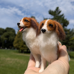 展示品【あま〜い♡】 柴犬 豆柴【フォトフレーム内寸8.5cm】羊毛