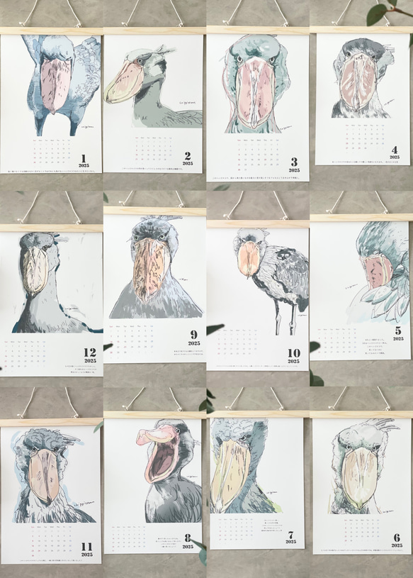 毎月ハシビロコウカレンダー　2026年に変更可能 13枚目の画像