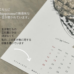 毎月ハシビロコウカレンダー　2026年に変更可能 14枚目の画像