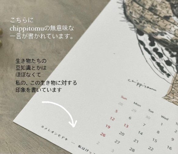 毎月ハシビロコウカレンダー　2026年に変更可能 14枚目の画像