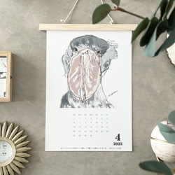 毎月ハシビロコウカレンダー　2026年に変更可能 9枚目の画像