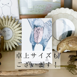 毎月ハシビロコウカレンダー　2026年に変更可能 16枚目の画像