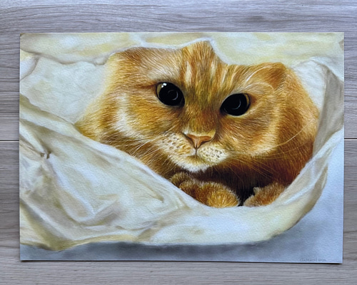 Curious Cat 好奇心旺盛な猫 色鉛筆画 (複製原画) 絵画 CMarts 通販