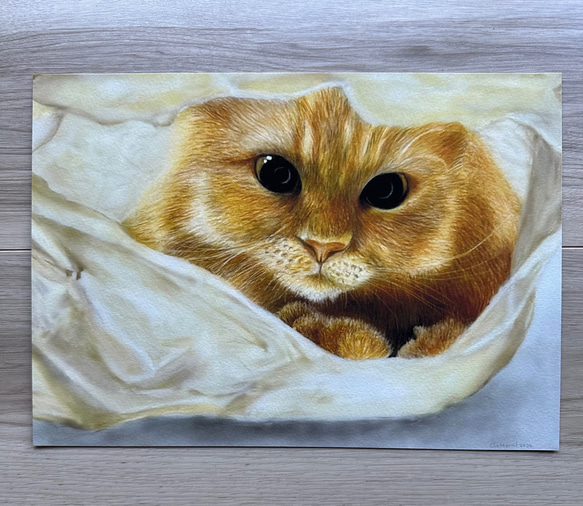 Curious Cat 好奇心旺盛な猫 色鉛筆画 (複製原画) 絵画 CMarts 通販  