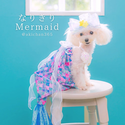 ハロウィンにお勧め犬用グレーのロングドレスXS ハロウィンにお勧め犬用グレーのロングドレスXS