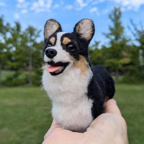 コーギー兄弟✨】コーギー【鼻先からお尻まで13cmと14cm】羊毛