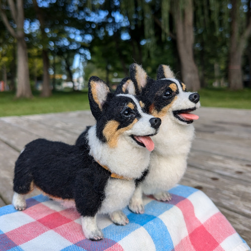 コーギー兄弟✨】コーギー【鼻先からお尻まで13cmと14cm】羊毛