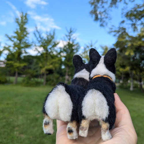 コーギー兄弟✨】コーギー【鼻先からお尻まで13cmと14cm】羊毛