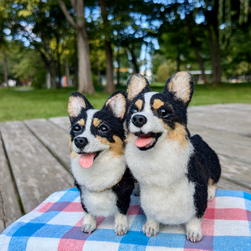 コーギー兄弟✨】コーギー【鼻先からお尻まで13cmと14cm】羊毛