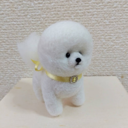 羊毛フェルト ビションフリーゼ 羊毛フェルト Lana** 通販 18235341