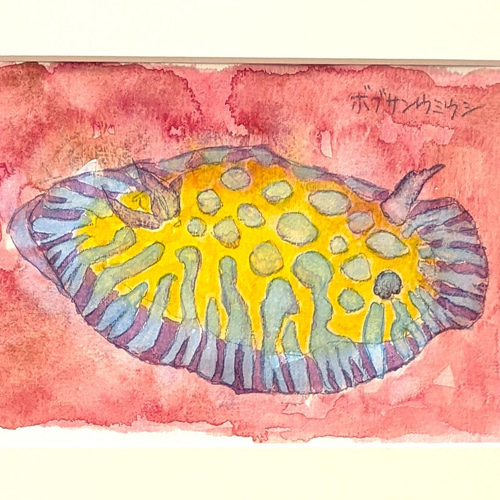 ウミウシ ホヤ 珊瑚 海 風景 原画 アート 絵画 画家 ハンドメイド ウミウシ ホヤ 珊瑚 海 風景 原画 アート 絵画 画家 ハンドメイド