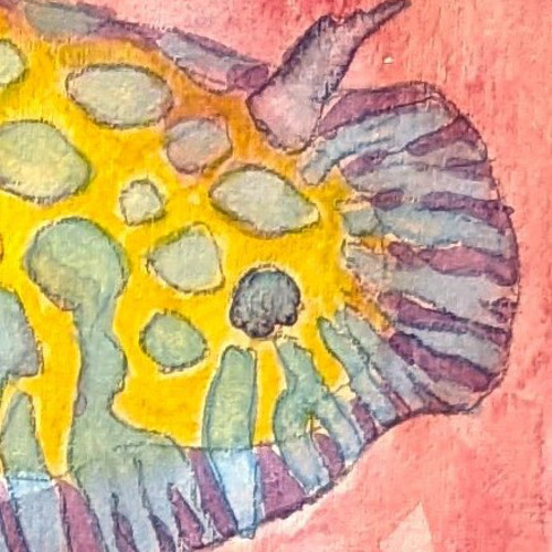 ボブサンウミウシ 水彩画原画 (SM) 絵画 yko 通販 18235995