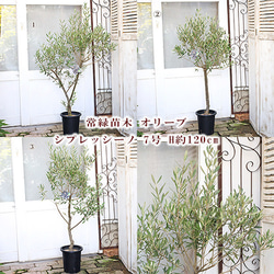 0a2937d7b99e38c36c13f473efe869