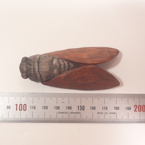 木彫刻 アート『 蝉 』 昆虫 芸術 アート 手彫り 松 彫刻 佐藤史隆