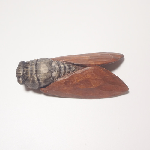 木彫刻 アート『 蝉 』 昆虫 芸術 アート 手彫り 松 彫刻 佐藤史隆