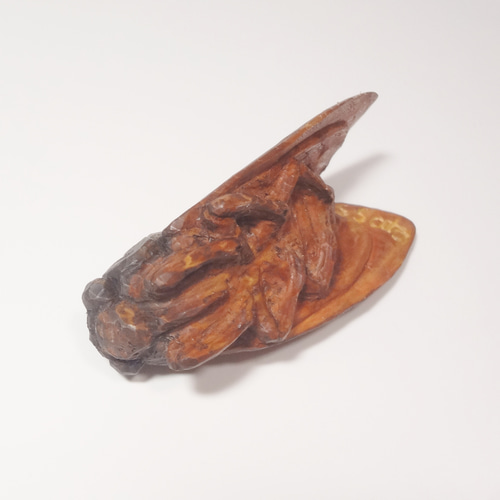 木彫刻 アート『 蝉 』 昆虫 芸術 アート 手彫り 松 彫刻 佐藤史隆