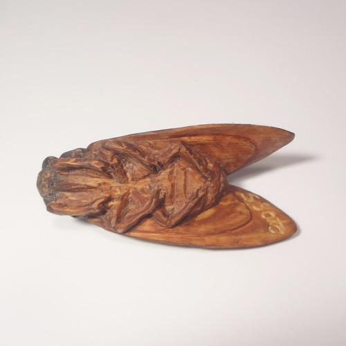 木彫刻 アート『 蝉 』 昆虫 芸術 アート 手彫り 松 彫刻 佐藤史隆