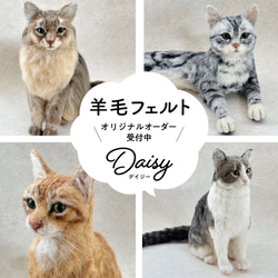 羊毛フェルト　オーダー猫　ぽんまる☆プロフ必読☆様ページ ぷり様確認用 羊毛フェルト ベンガル 猫 オーダー ハンドメイド