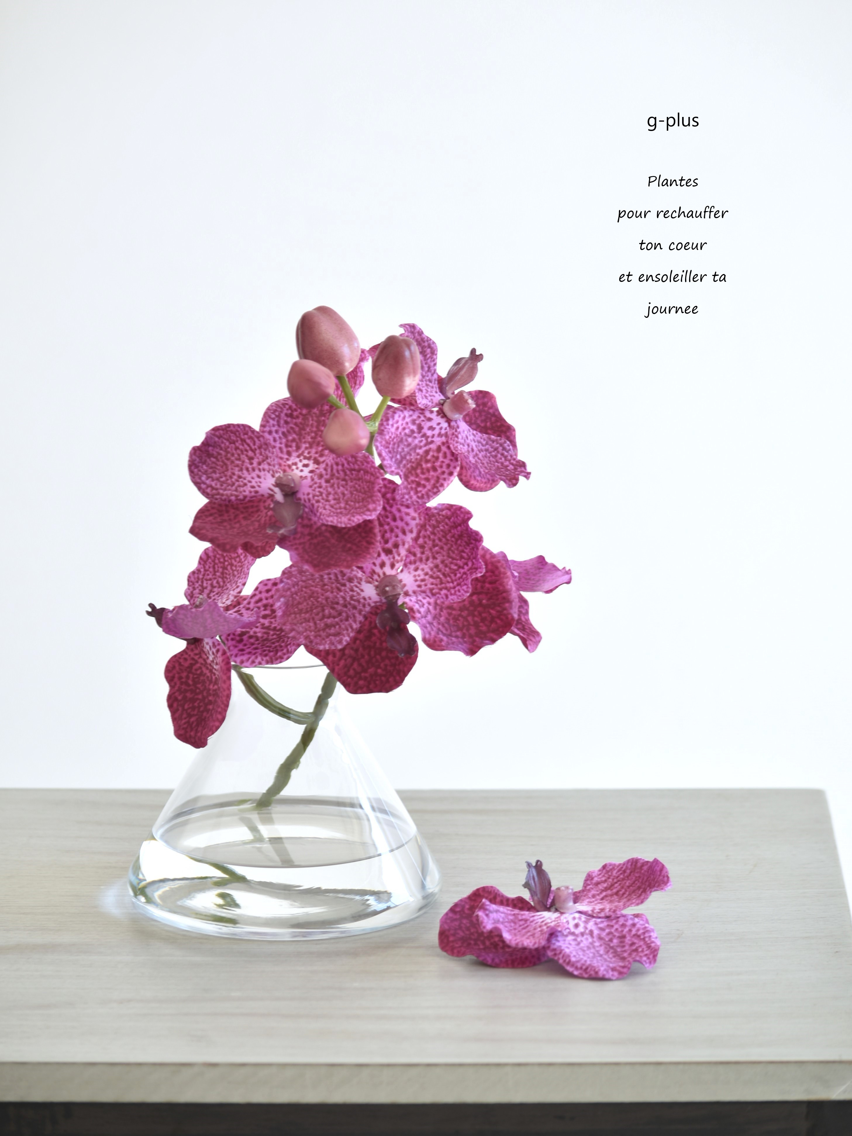 まいまいグランマQPCWZE　ライトパープル＆シャンパン　花柄ファルダ パープルレインSparkling 2024 | Shizuku Shop