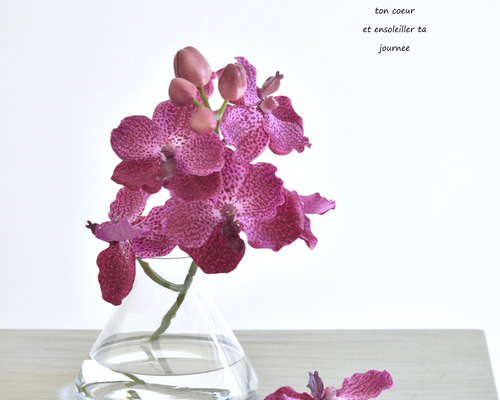 3ab44fdb5a40be8ae531be077d580c