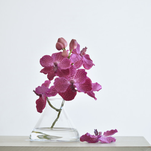 咲き続けるバンダ(蘭 フクシャパープル) マジカルウォーター 癒しの