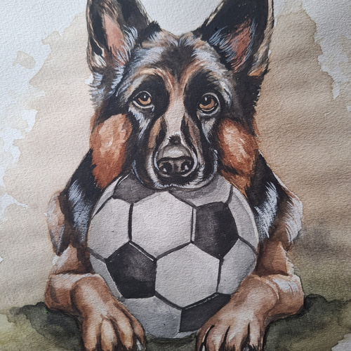 水彩画 サッカー大好きジャーマンシェパード 絵画 makochin 通販