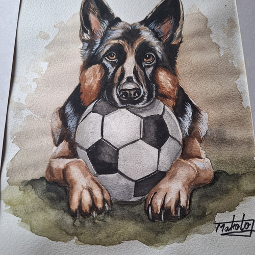 水彩画 サッカー大好きジャーマンシェパード 絵画 makochin 通販