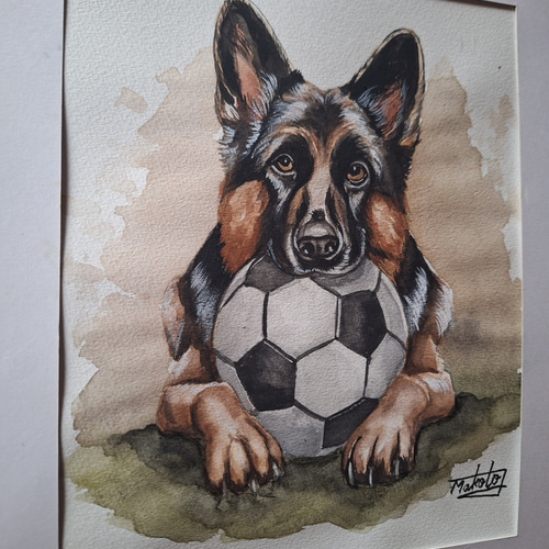 水彩画 サッカー大好きジャーマンシェパード 絵画 makochin 通販