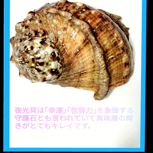 夜光貝ハワイアンデザイン☆フィッシュフック(釣り針)  ☆厚みのある大き目サイズ 夜光貝☆ハワイアンジュエリー デザイン☆フィッシュフック