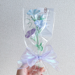 朝顔の編みぐるみ｜編み物のお花 17枚目の画像