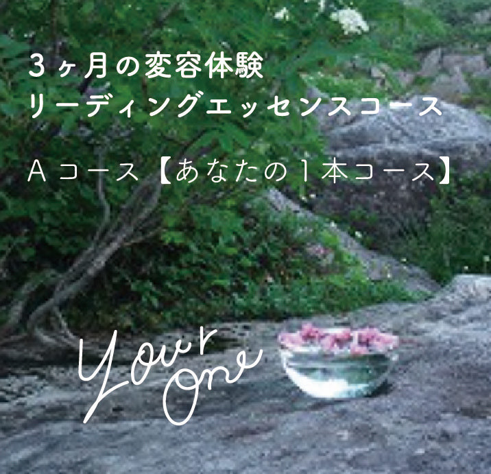 A.あなたの1本コース《3ヶ月間の変容体験 リーディングエッセンス》【送料無料】