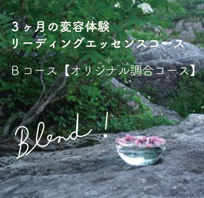 B.オリジナル調合コース《3ヶ月の変容体験 リーディングエッセンス》【送料無料】