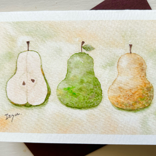 透明水彩画 ミニカード2枚セット「ラ・フランス」北欧 イラスト 洋梨