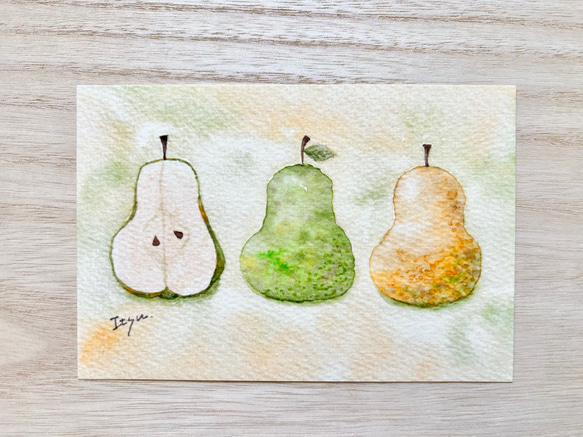 透明水彩画 3枚セット「ラ・フランス」北欧イラスト ポストカード 洋梨