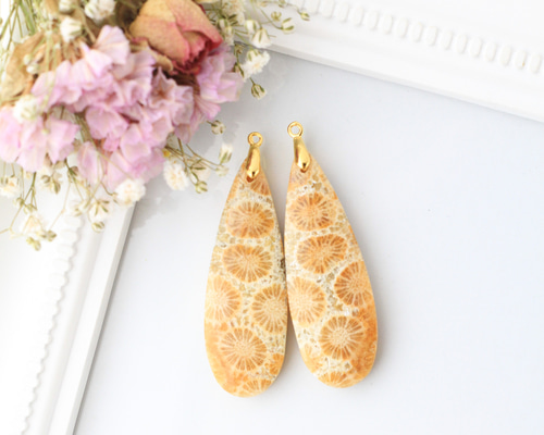 ひまわりフォッシルコーラル レクタングルピアス 超超超希少】フォッシルコーラル ヒマワリ 耳飾り 2-3.5億年前の