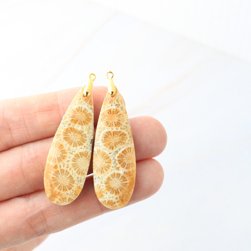 ひまわりフォッシルコーラル レクタングルピアス 超超超希少】フォッシルコーラル ヒマワリ 耳飾り 2-3.5億年前の