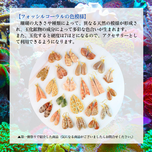 天然石☆超大粒♡マーガレットフォッシルコーラル×オパールのピアス14kgf 天然石☆超大粒♡マーガレットフォッシルコーラル×オパールの