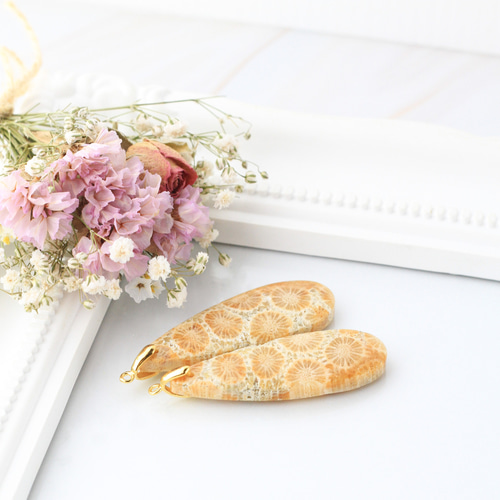 ひまわりフォッシルコーラル レクタングルピアス 超超超希少】フォッシルコーラル ヒマワリ 耳飾り 2-3.5億年前の