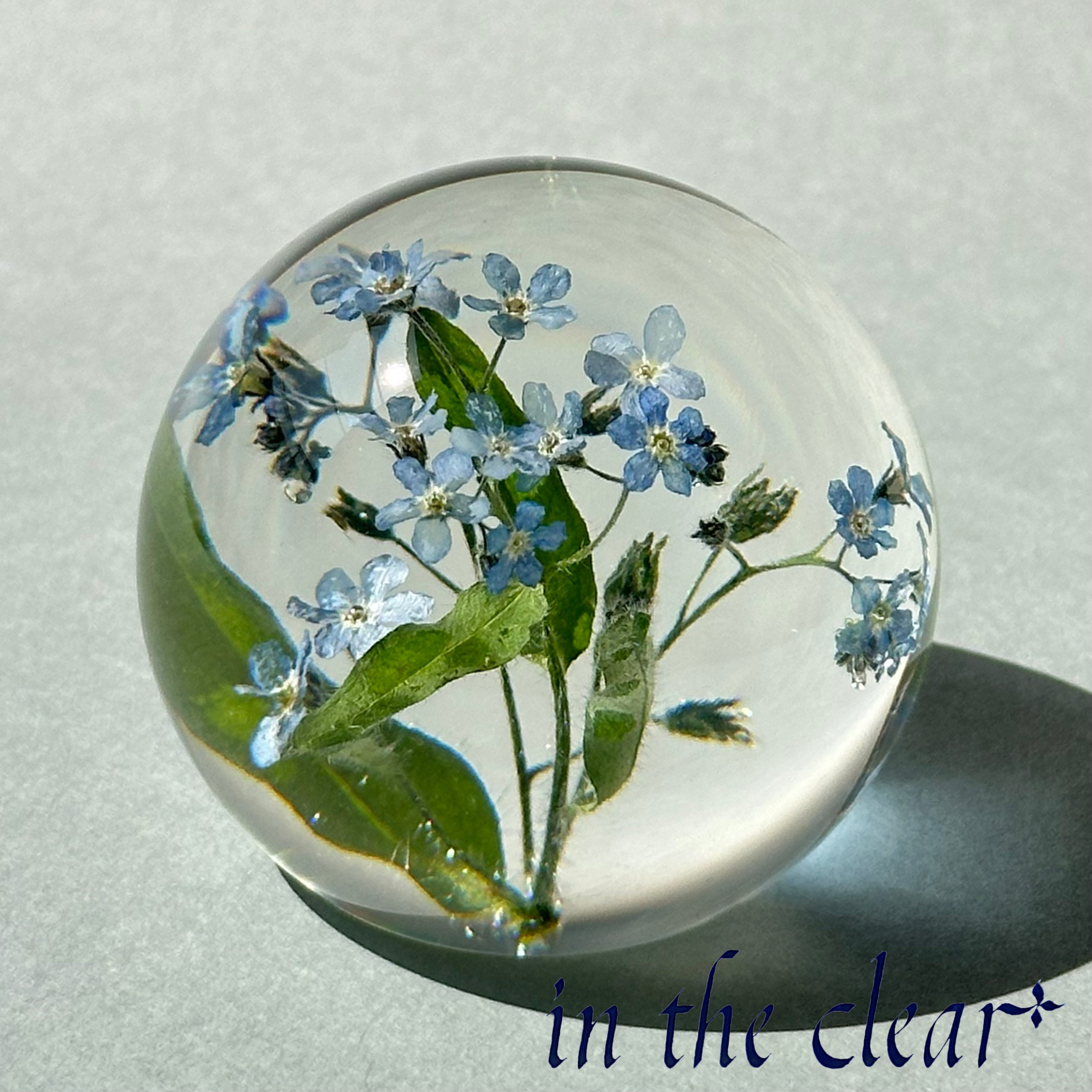 ゆうこ様●【ドライフラワー】勿忘草/わすれな草/忘れな草（ 585 レジン ） ゆうこ様○【ドライフラワー】勿忘草/わすれな草/忘れな草（ 585