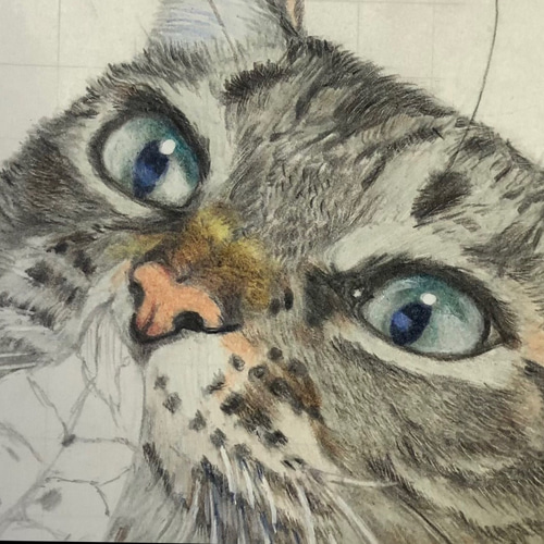 オンラインショップ 色鉛筆で描きました。 オーダーお受けして