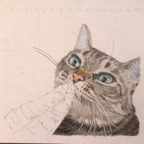 保護猫 ねこ オーダー A5 原画 色鉛筆画 ポストカード 3枚セット