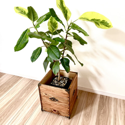 m*a様 木製スタンドと木製鉢カバーセット 0001b32987a54ad06910b99cf1e4dc