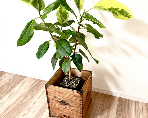 8号サイズ用植木鉢カバーマーブル　木製スタンド付き 0001b32987a54ad06910b99cf1e4dc