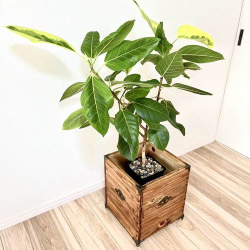 プランターカバー(木製) M サイズ(7号〜8号鉢用) アンティーク仕様