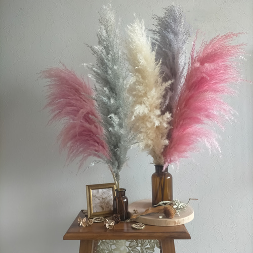 選べるカラーパンパスグラスとドライフラワーセット 超早割祭2024