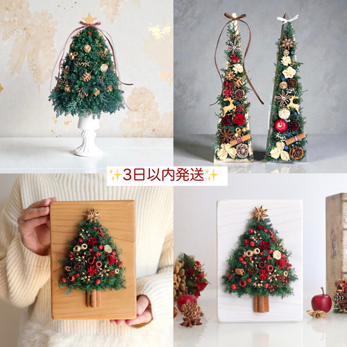 毎年飾れる／選べる杉の木フレームのクリスマスツリー（無料ギフト