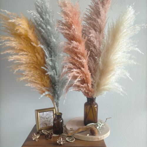 新入荷！選べるカラーパンパスグラスshort3本 クリスマス 秋冬